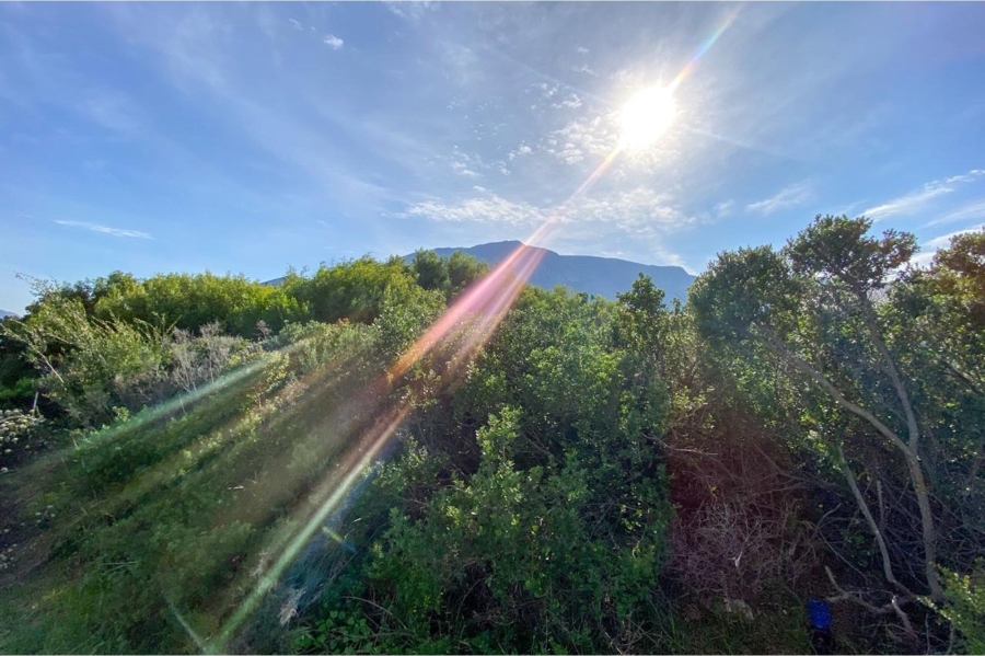 0 Bedroom Property for Sale in Bettys Bay Western Cape